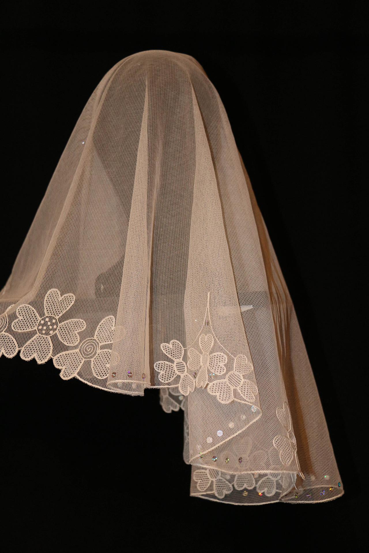When Do You Use Veils? - Barbara Lynn Seibel