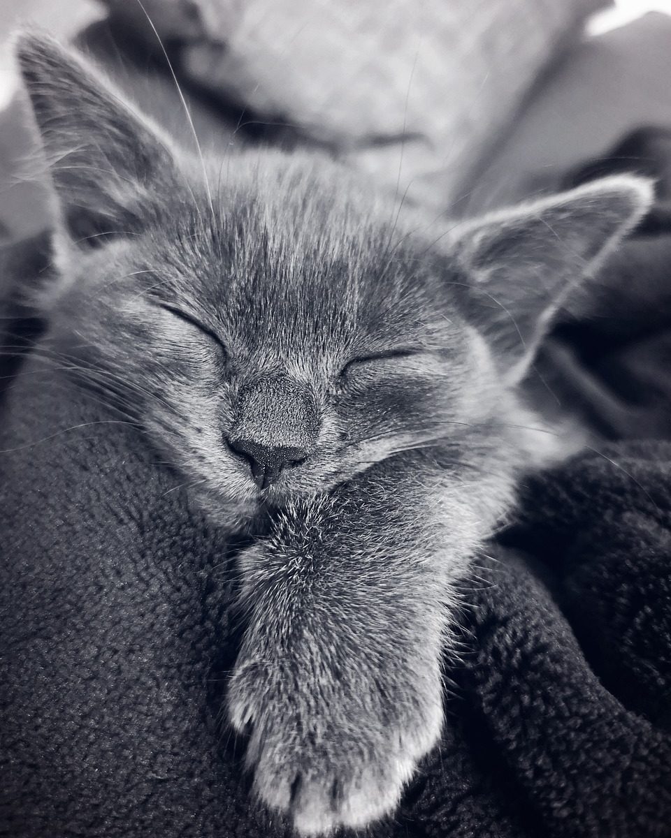 Brief Time of Rest Needed