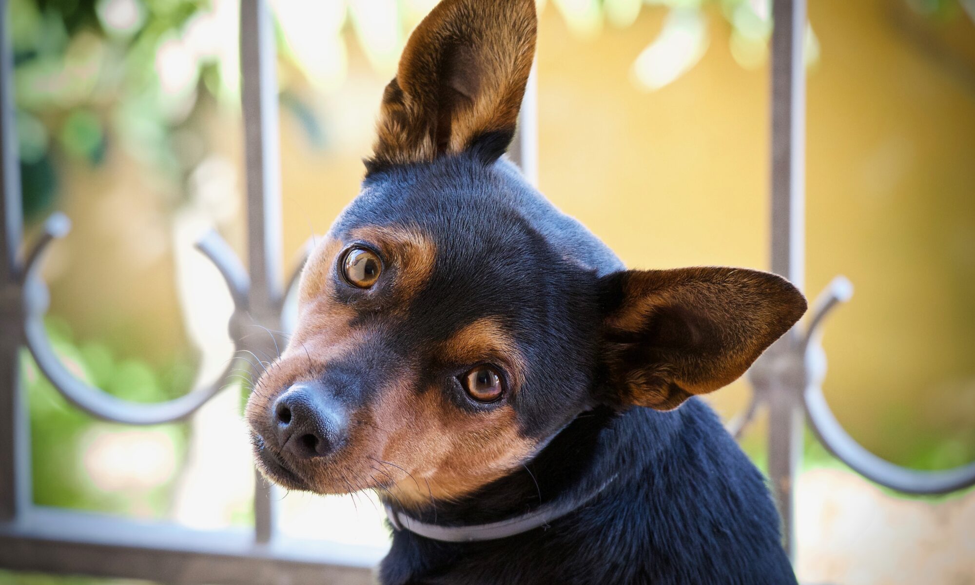 Are We Truly Listening to God? 2 Chronicles 25