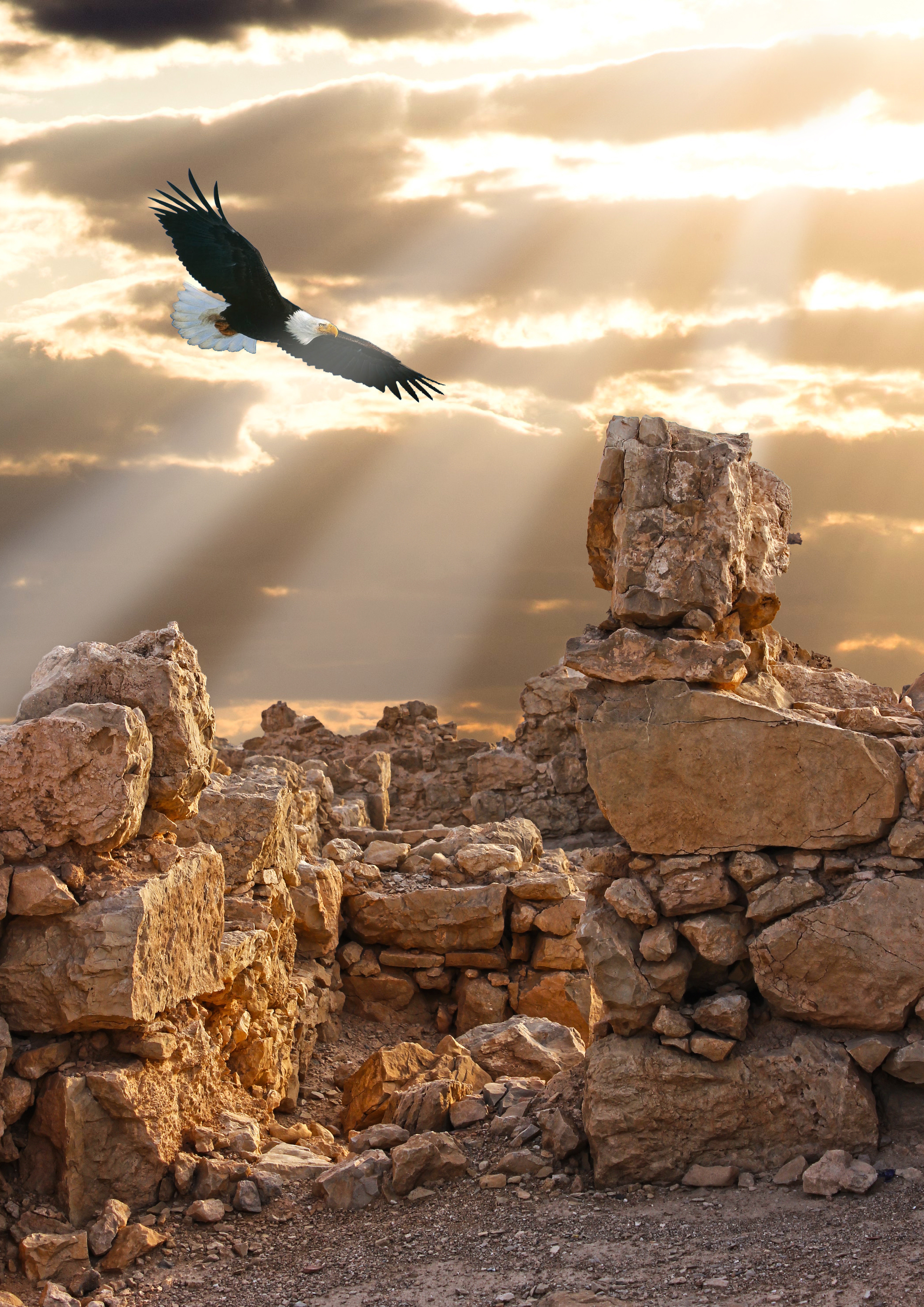 The Strength Needed to Bear Our Burdens | A study of Nehemiah 4:6-15
