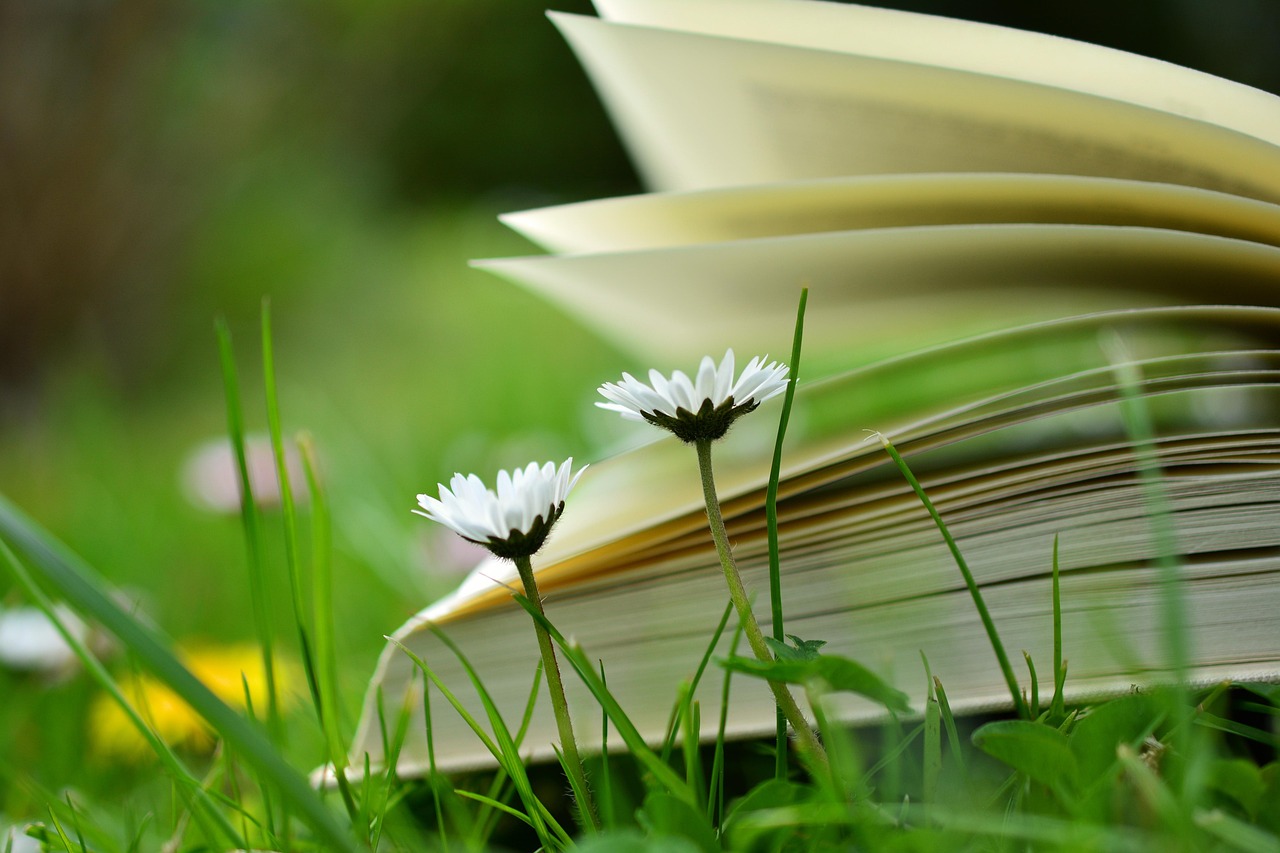 How Do We Learn About God? A Study of Psalm 19